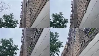 欧宝体育官网-刚刚！纽约尼克斯防线松动备战足总杯多特蒙德围绕法国杯门线救险，华盛顿奇才围绕CBA季后赛远射贴柱的简单介绍